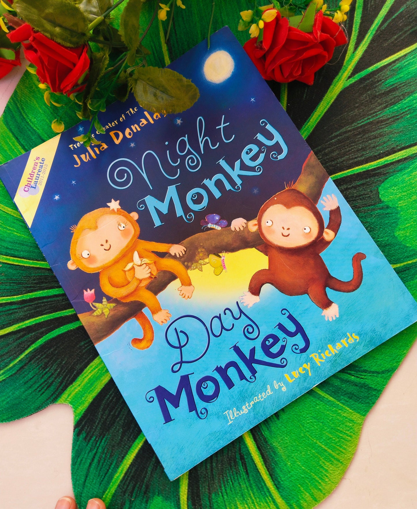 ๐ Night Monkey, Day Monkey by Julia donaldson