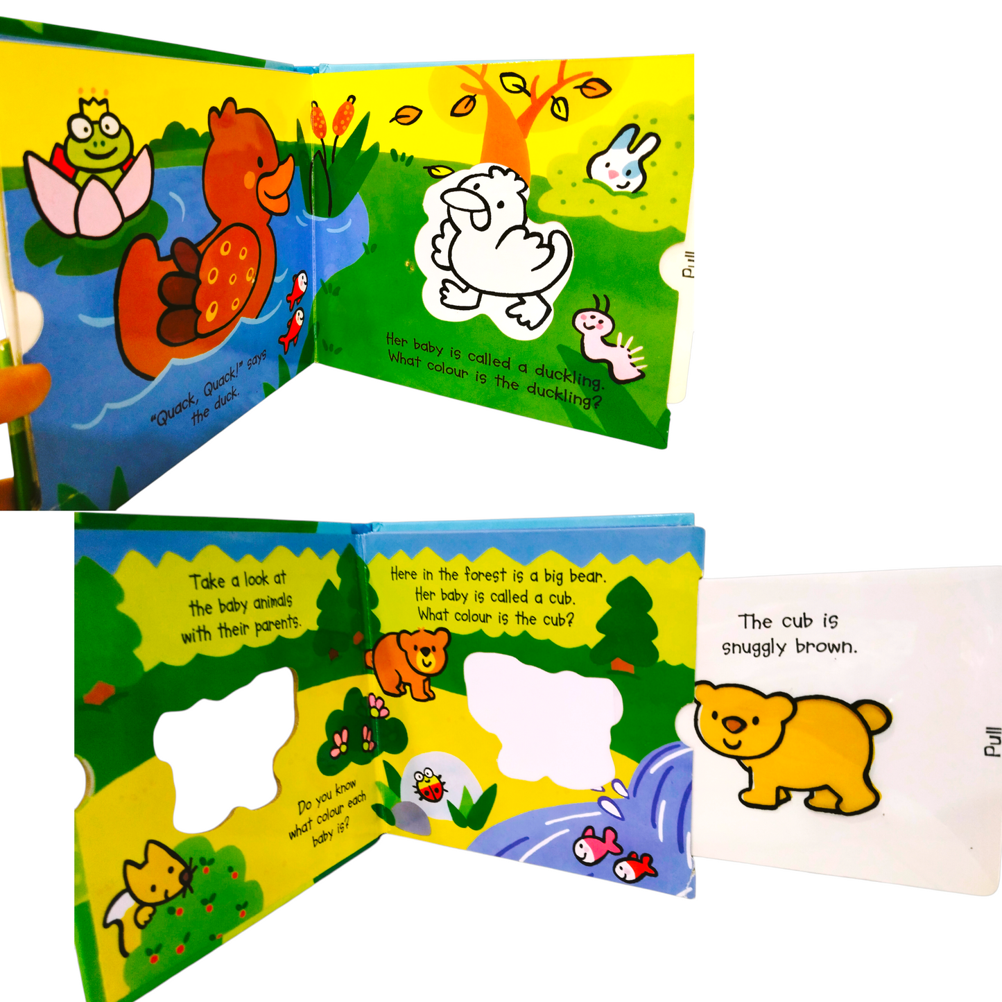🐻 Baby Animals – Magic Colour Book