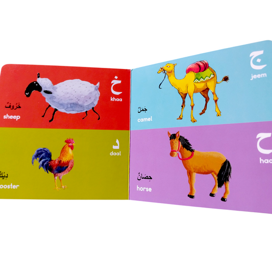 Arabic Alphabet Board book 📖