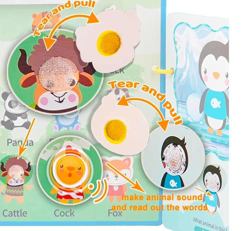 DIY point reading toy