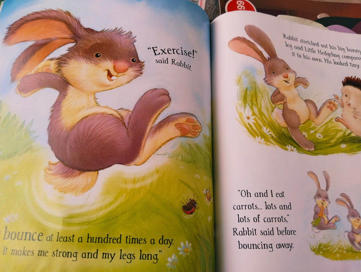 Little Hedgehog's Big Day by Daniel and Heidi Howarth
