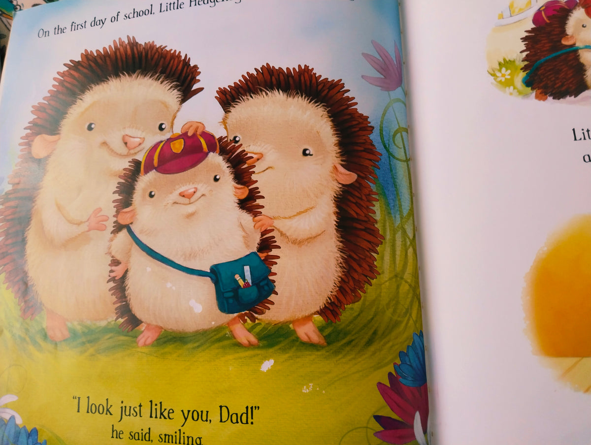 Little Hedgehog's Big Day by Daniel and Heidi Howarth