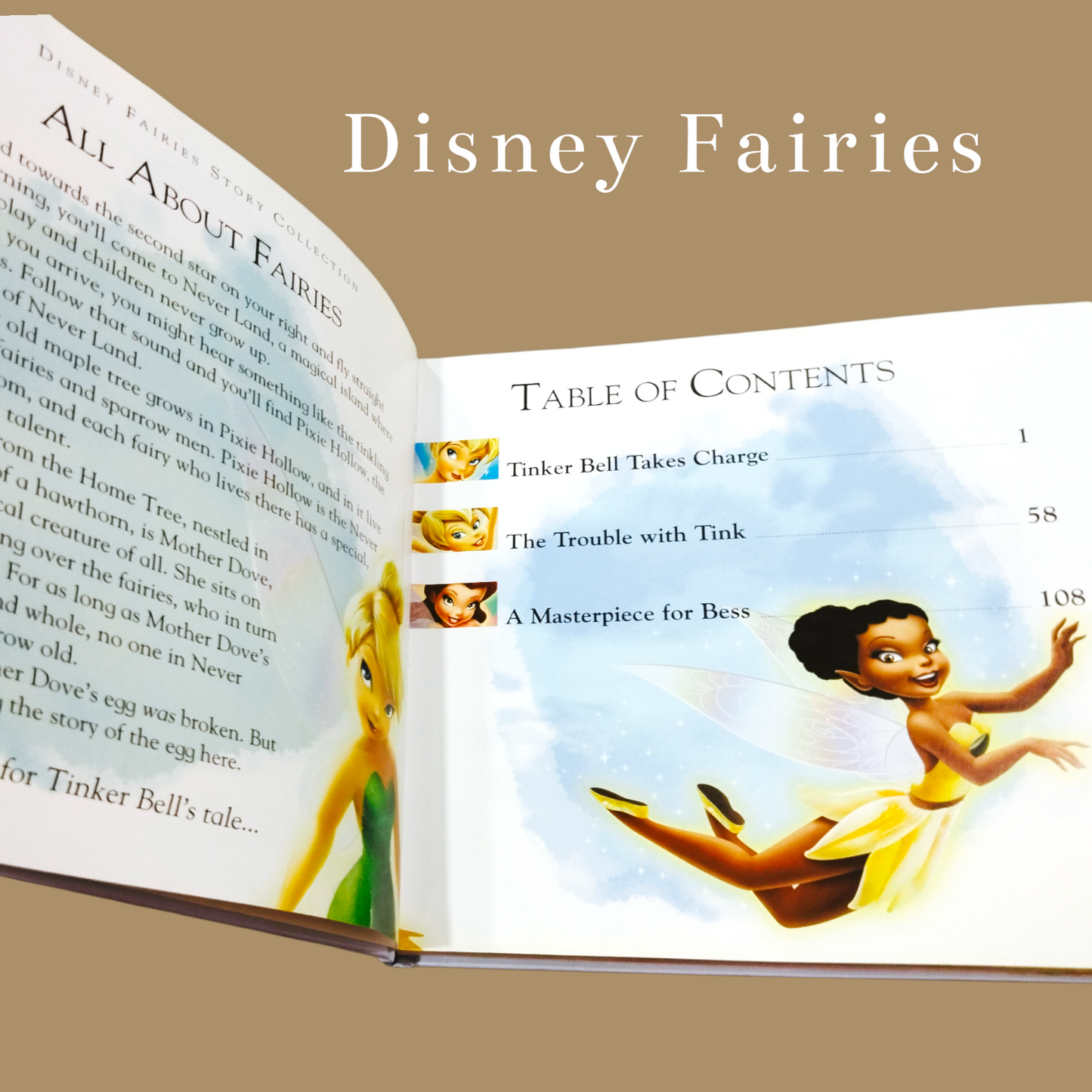 🧚 Disney Fairies – Storybook Collection