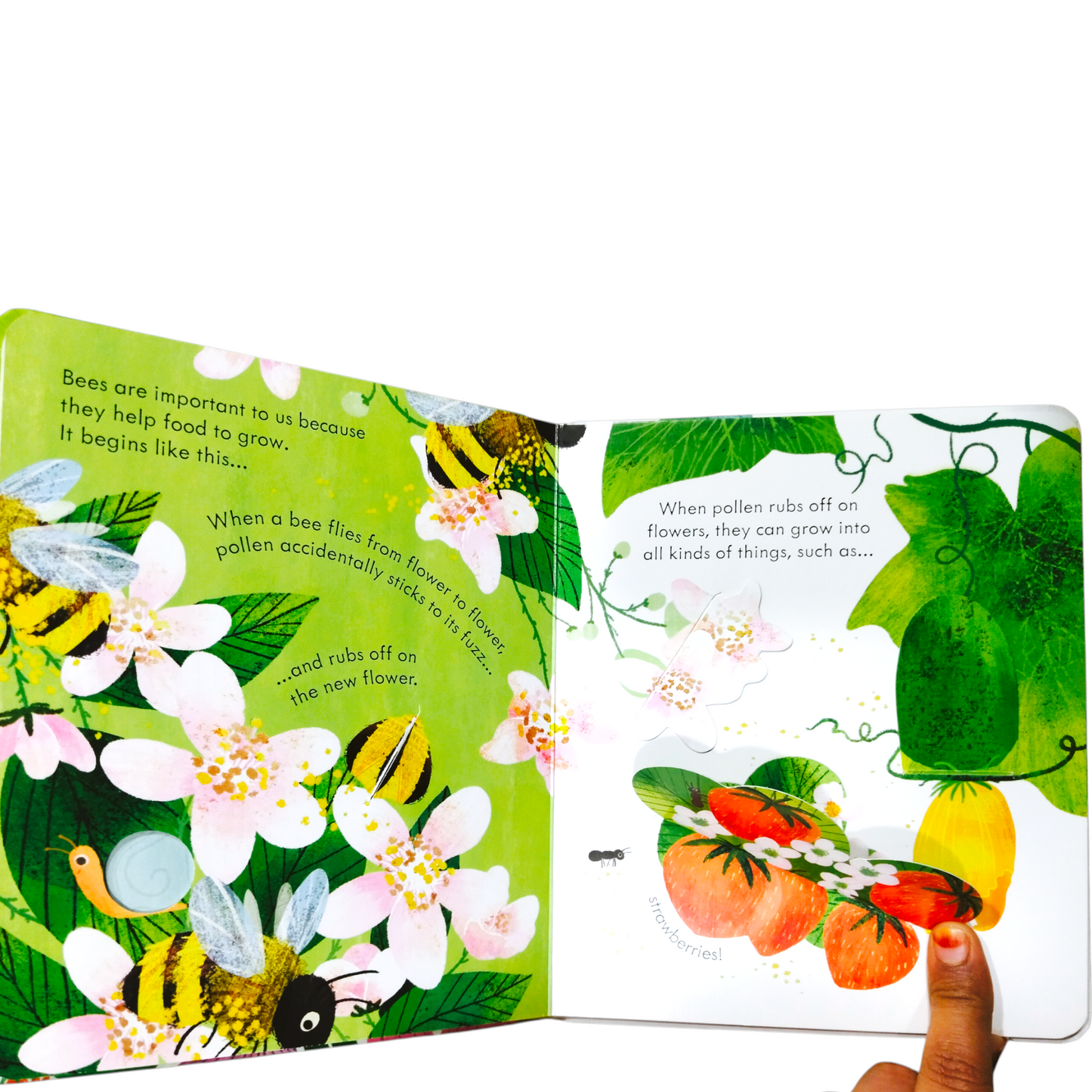 🐝 Peep Inside: A Beehive – Usborne