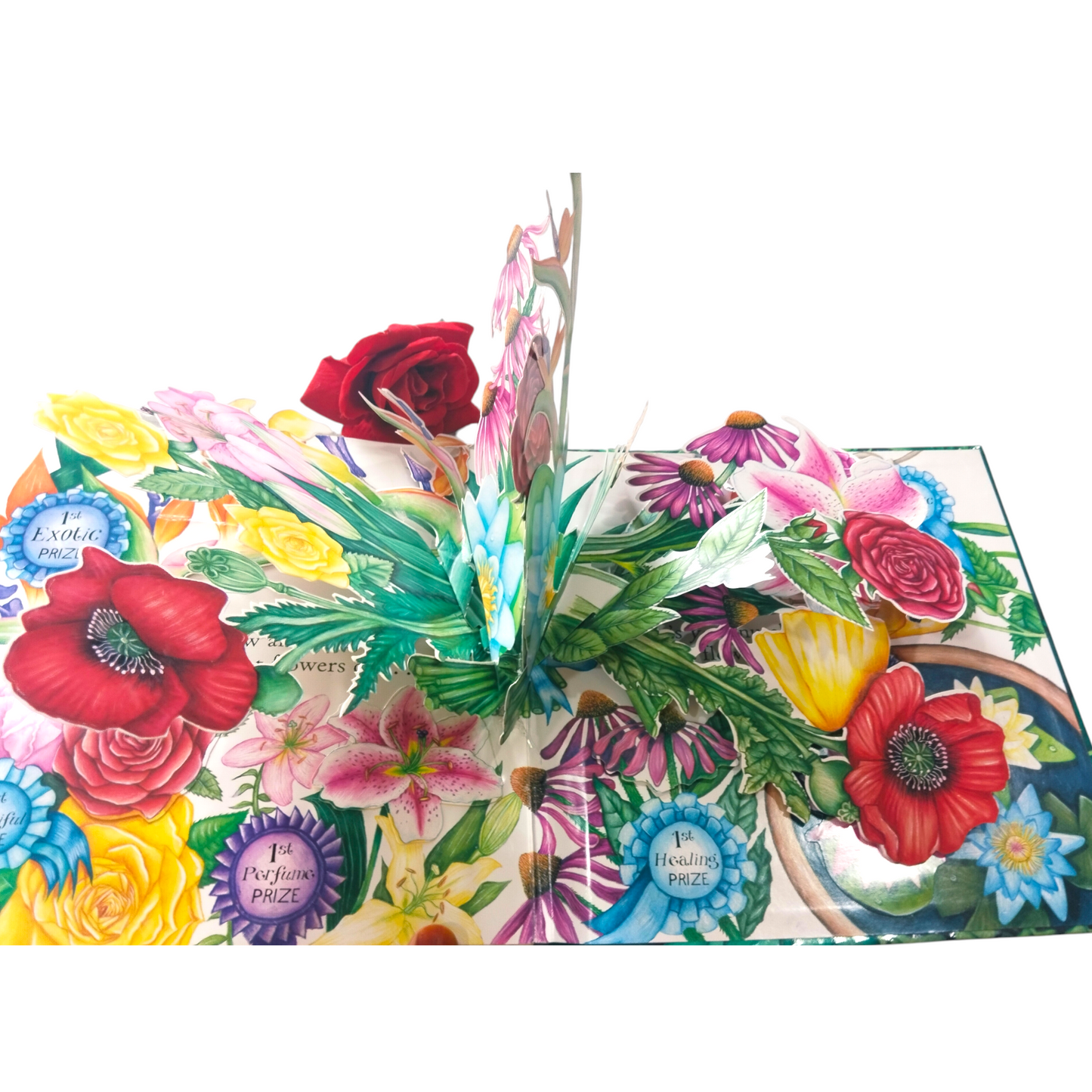 The Global Garden
By Kate Petty & Jennie Maizels